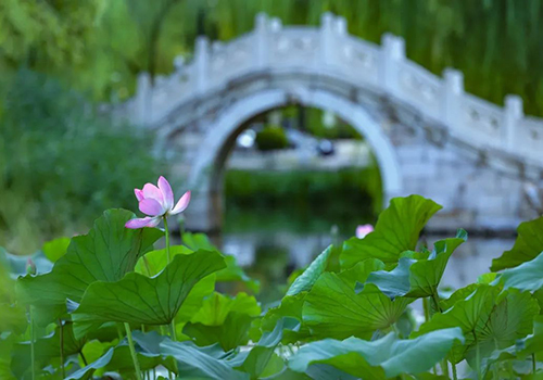 清華大學