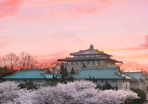 武漢大學